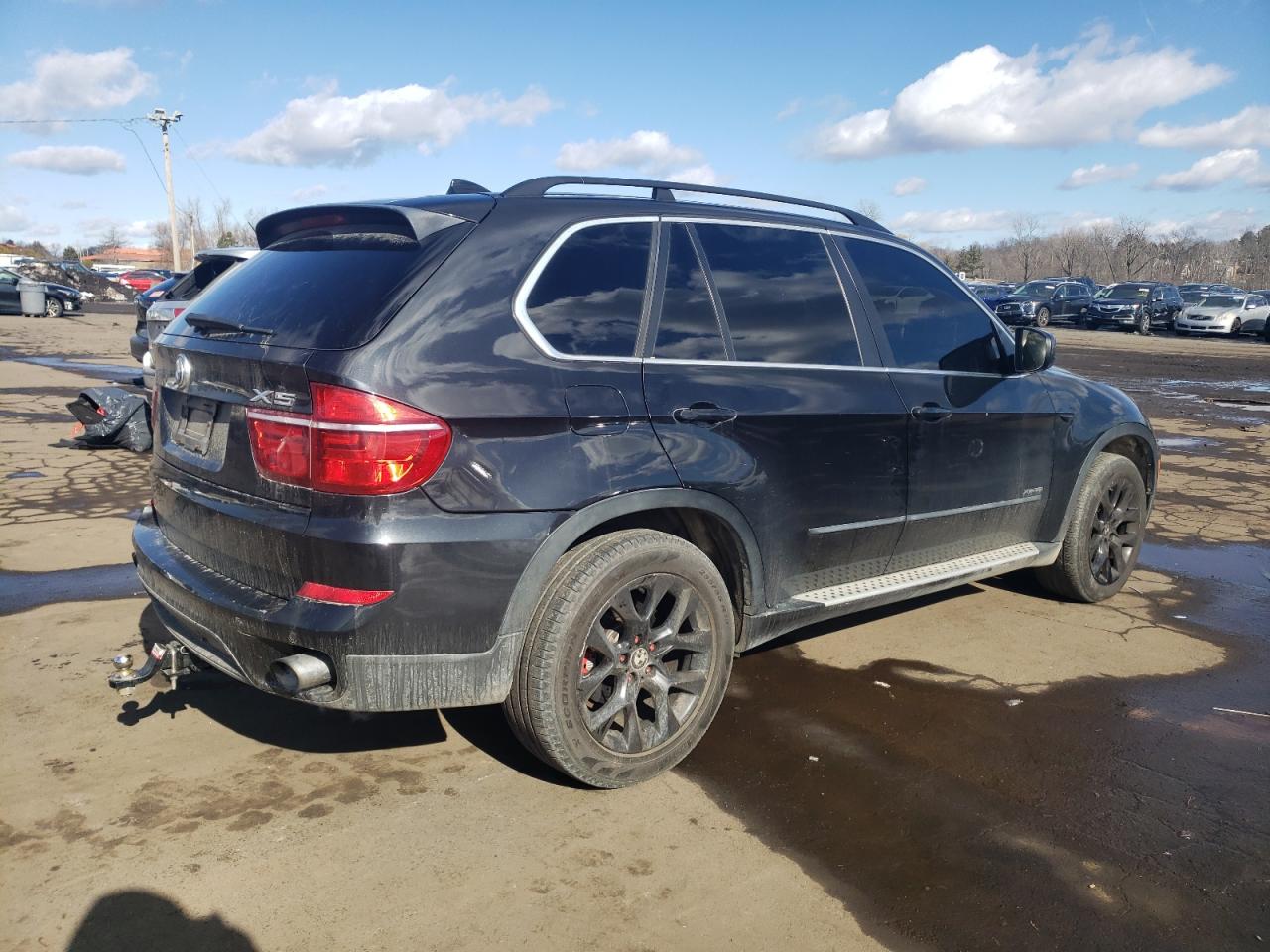 2013 BMW X5 VIN 5UXZV4C51DL993308 Copart auction photo, side damage thumbnail 3