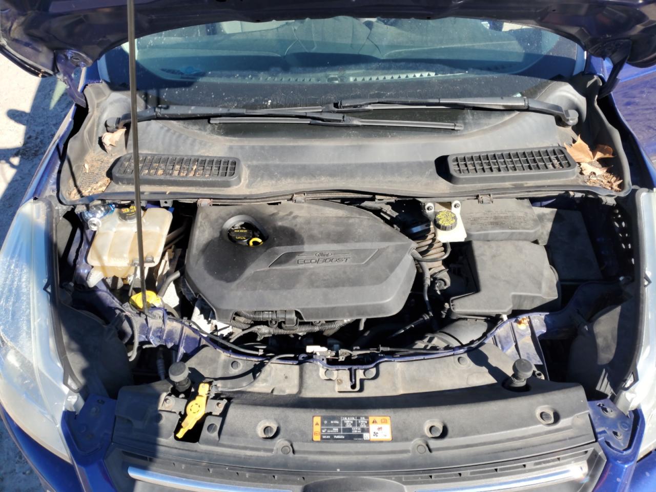 2015 Ford Escape VIN 1FMCU0GX9FUA24623 Copart auction photo, front end / rear end damage thumbnail 14