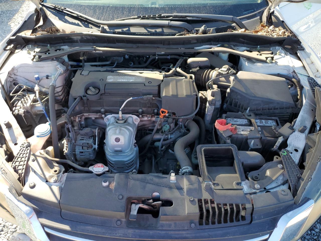 2015 Honda Accord VIN 1HGCR2F89FA083010 Copart auction photo, front end damage thumbnail 11