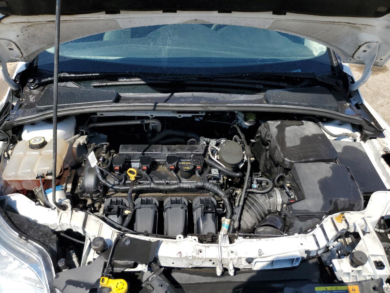 2013 Ford Focus VIN 1FADP3K2XDL155694 Copart auction photo, side damage thumbnail 11