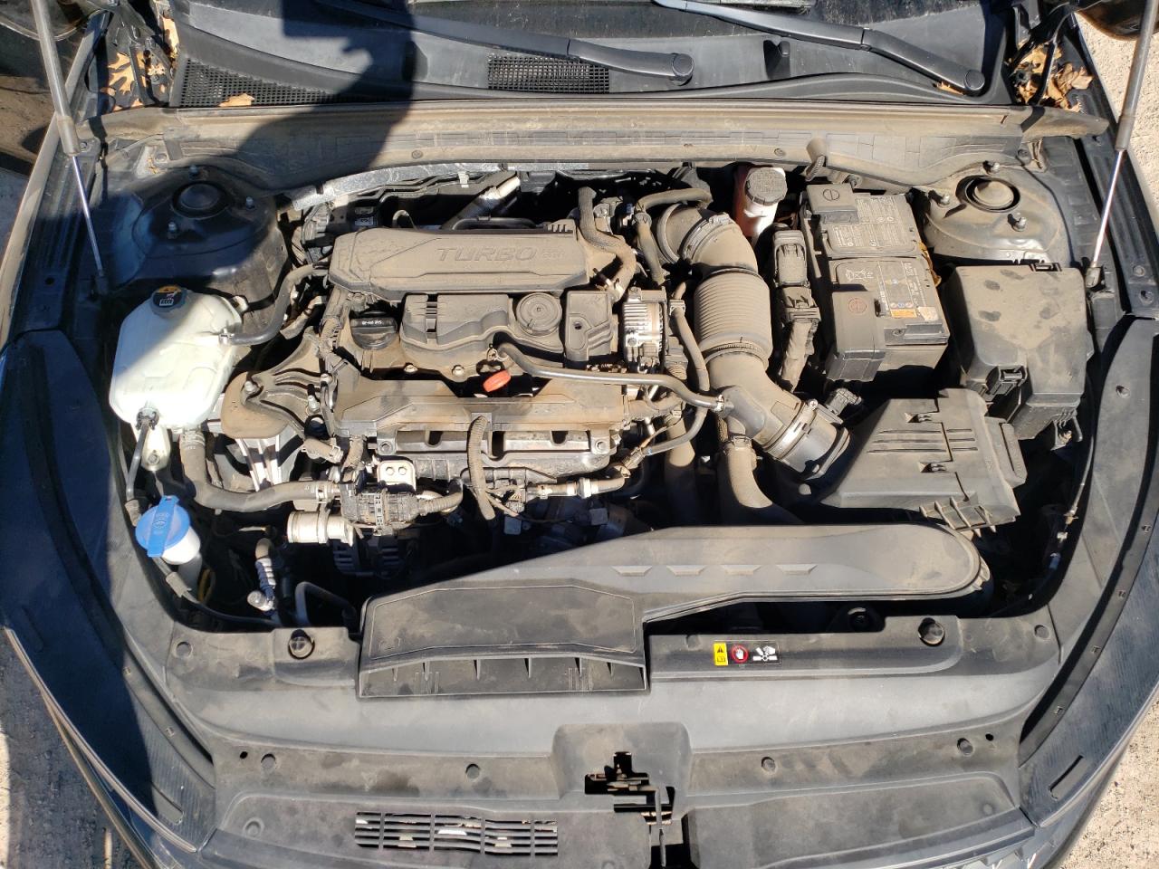 2021 KIA K5 VIN 5XXG24J2XMG006070 Copart auction photo, side / minor dent/scratches damage thumbnail 12