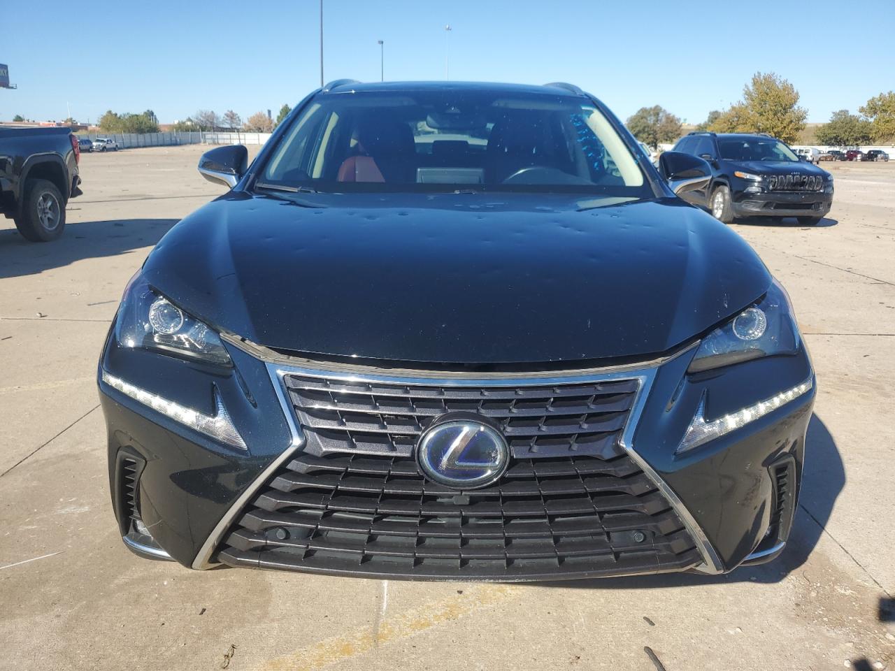 2018 Lexus NX VIN JTJBJRBZ2J2089823 Copart auction photo, hail / minor dent/scratches damage thumbnail 5
