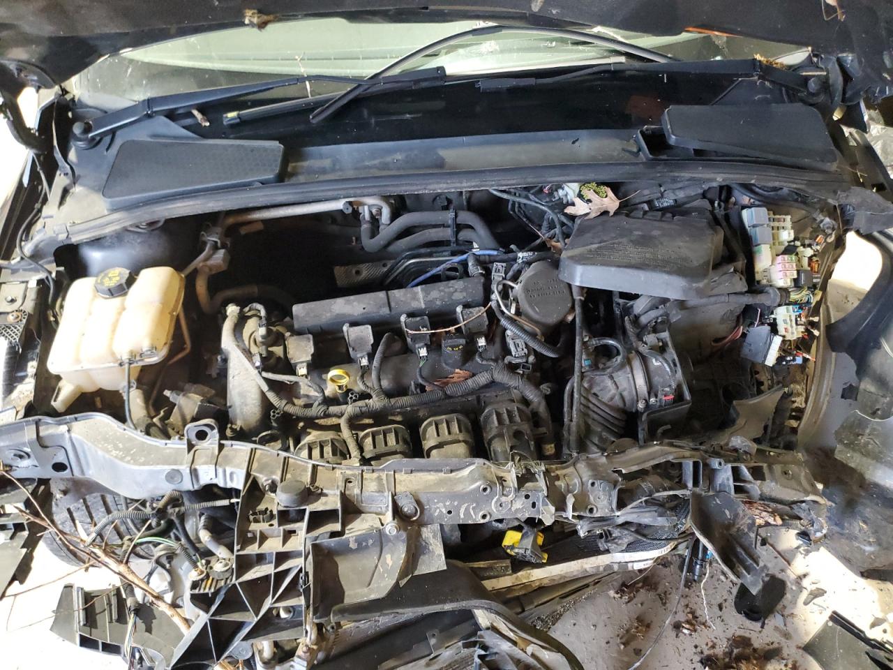 2015 Ford Focus VIN 1FADP3K29FL343769 Copart auction photo, front end damage thumbnail 12