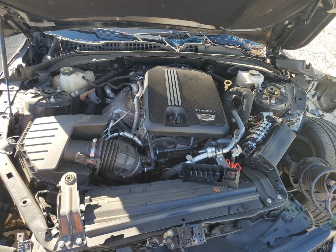 2020 Cadillac CT4 VIN 1G6DG5RK5L0155519 Copart auction photo, front end damage thumbnail 11