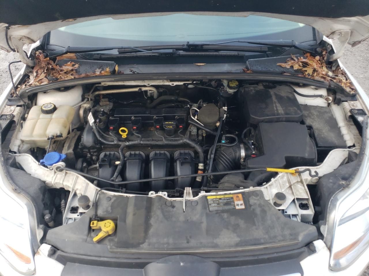 2013 Ford Focus VIN 1FADP3K26DL244355 Copart auction photo, rear end / minor dent/scratches damage thumbnail 11