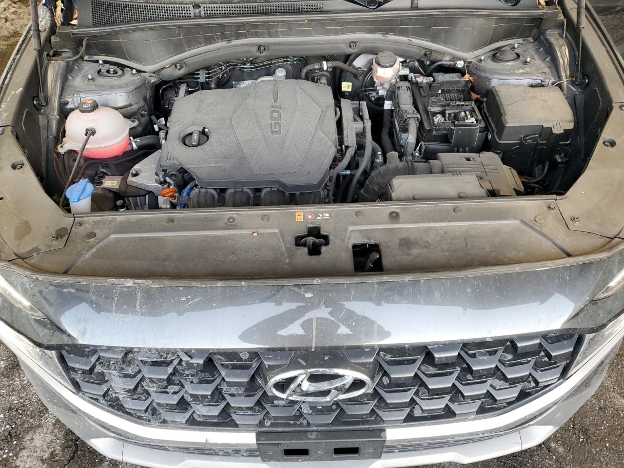 2023 Hyundai Santa Fe VIN 5NMS2DAJ4PH629479 Copart auction photo, side damage thumbnail 12