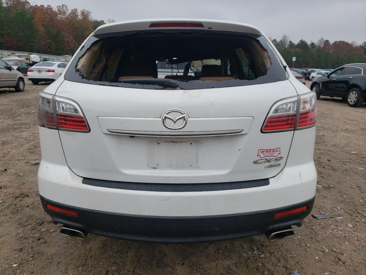 2010 Mazda CX-9 VIN JM3TB3MV9A0234077 Copart auction photo, burn damage thumbnail 6