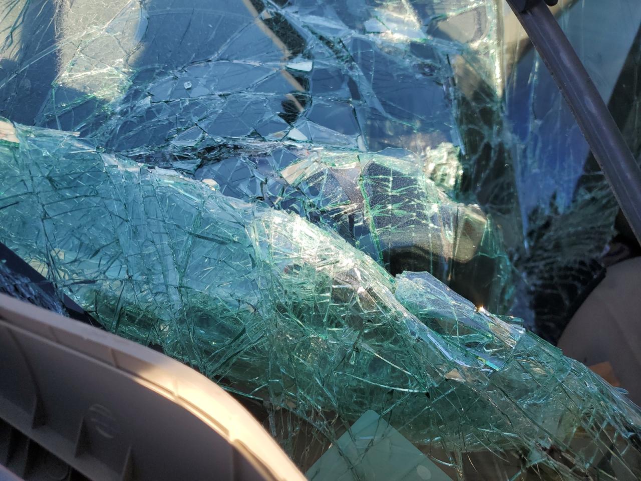2009 Hyundai Elantra VIN KMHDU46D59U616575 Copart auction photo, all over damage thumbnail 9