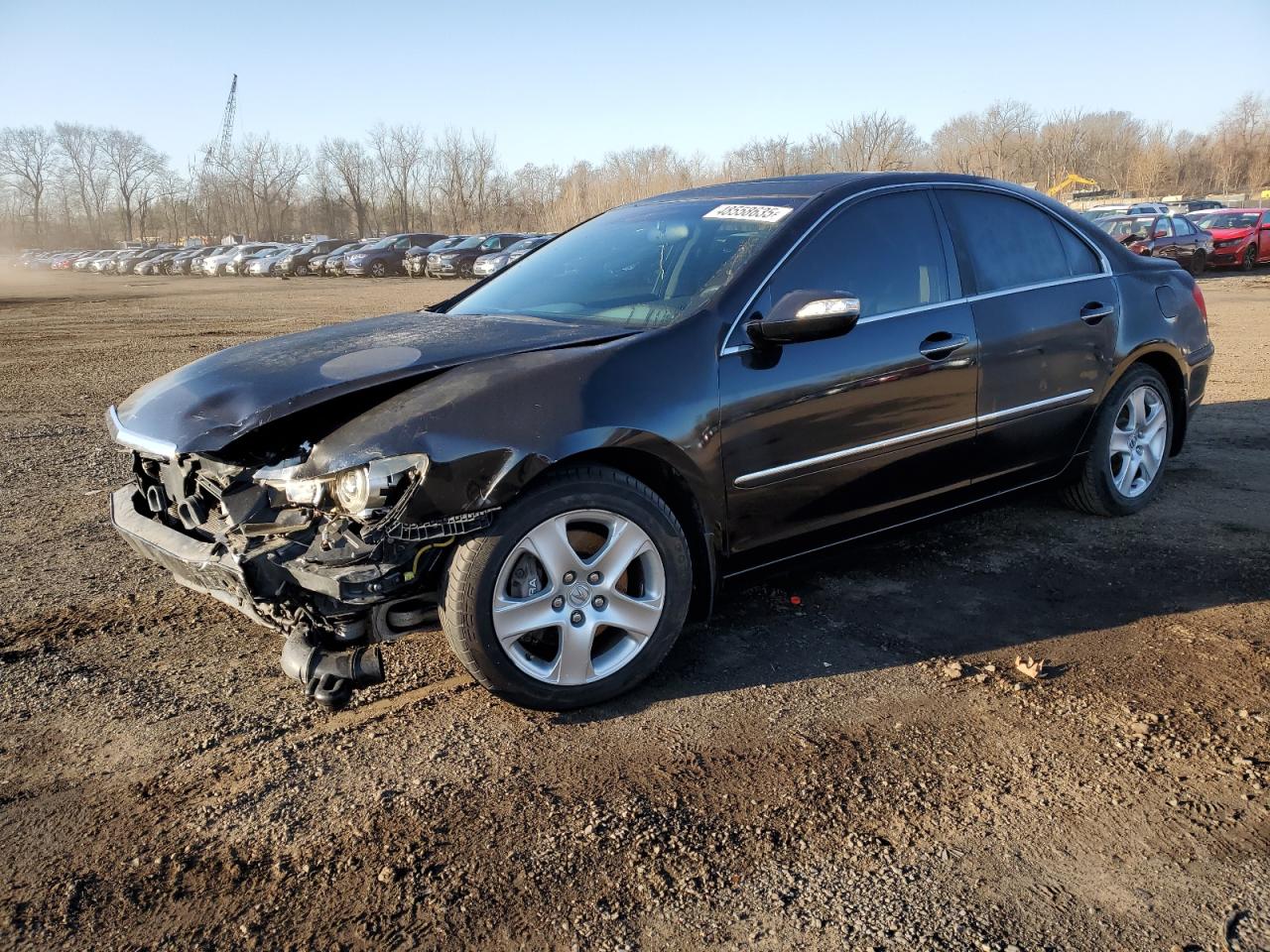 2005 Acura RL VIN JH4KB16535C013020 - Copart auction photo