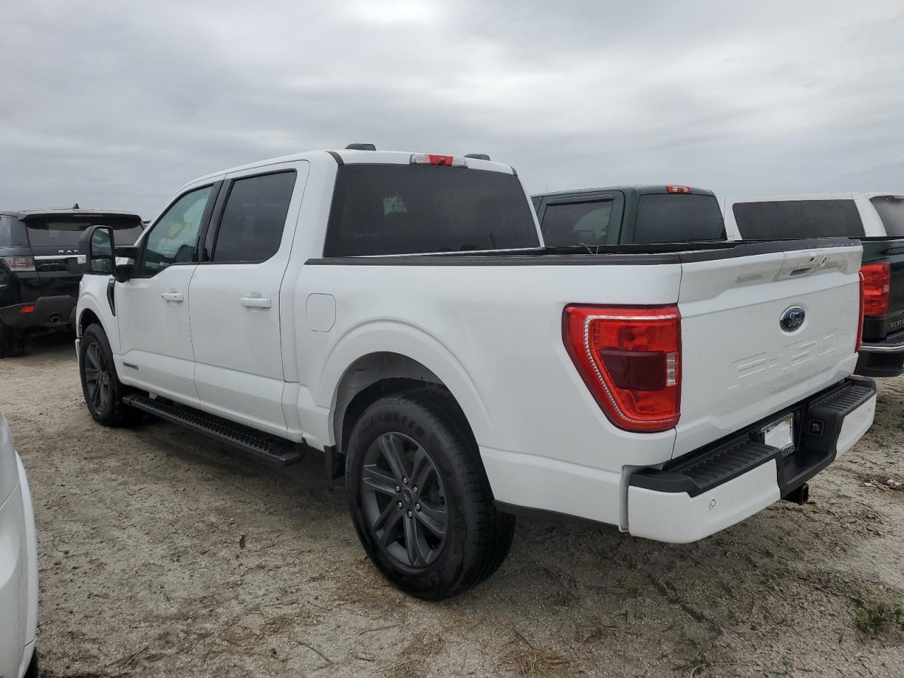 2023 Ford F-150 VIN 1FTFW1CD9PFA11115 Copart auction photo, water/flood damage thumbnail 2