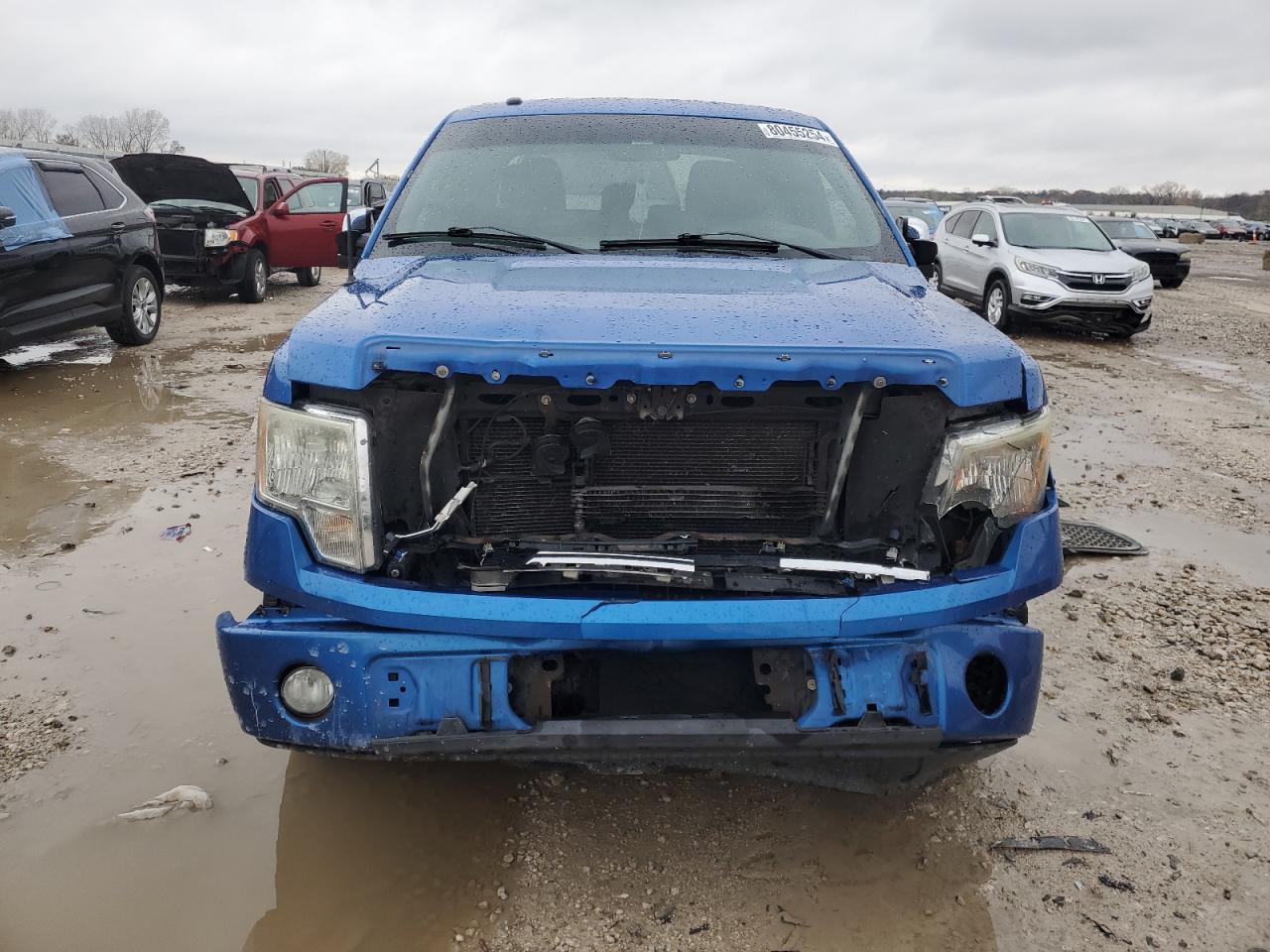 2011 Ford F-150 VIN 1FTEW1CM6BFB48114 Copart auction photo, front end damage thumbnail 5