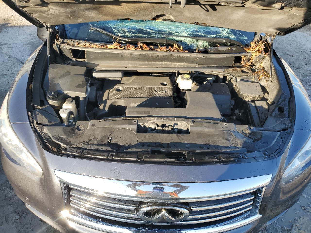 2014 Infiniti QX60 VIN 5N1AL0MN3EC516369 Copart auction photo, vandalism / top/roof damage thumbnail 13