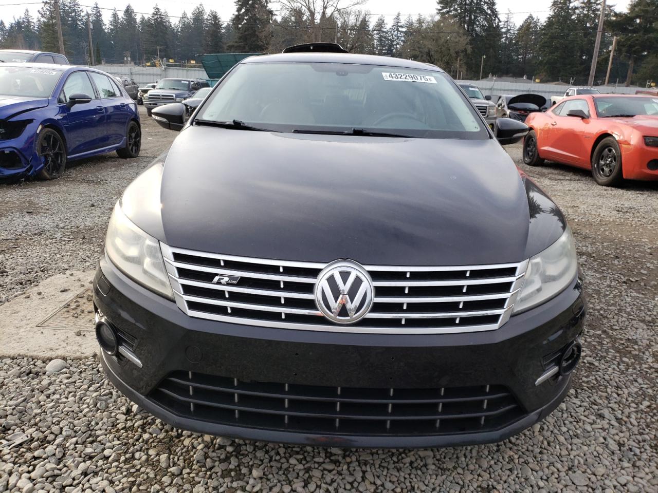 2013 Volkswagen Passat CC VIN WVWBP7AN1DE569486 Copart auction photo, side damage thumbnail 5