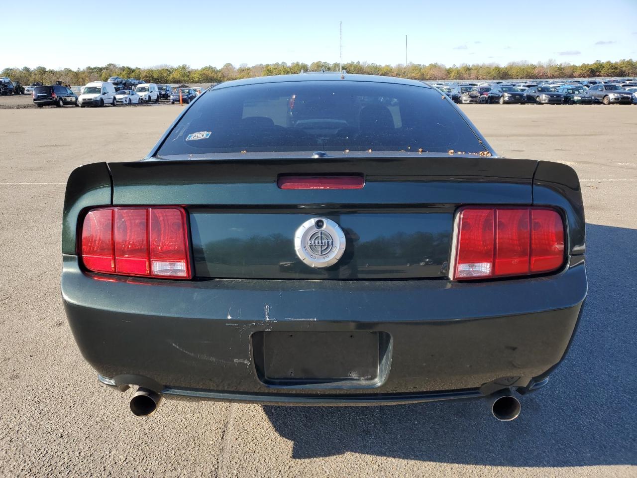 2009 Ford Mustang VIN 1ZVHT82HX95119599 Copart auction photo, undercarriage / minor dent/scratches damage thumbnail 6