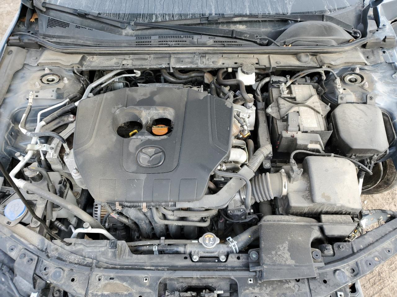 2023 Mazda 3 VIN 3MZBPACM2PM366085 Copart auction photo, front end damage thumbnail 11
