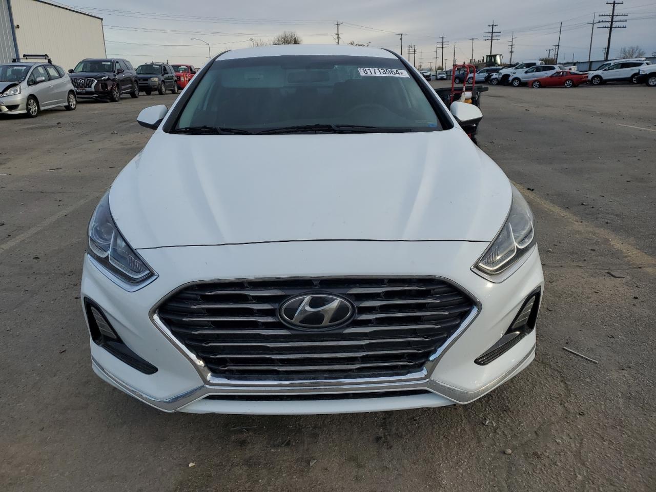 2019 Hyundai Sonata VIN 5NPE24AF1KH757165 Copart auction photo, all over / undercarriage damage thumbnail 5