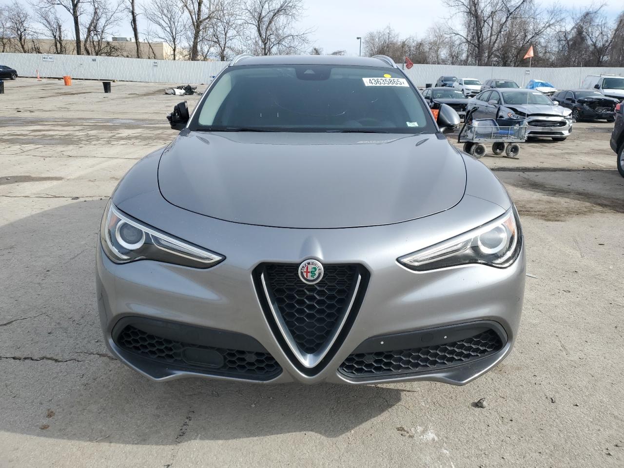 2020 Alfa Romeo Stelvio VIN ZASPAKBN4L7C91444 Copart auction photo, side damage thumbnail 5