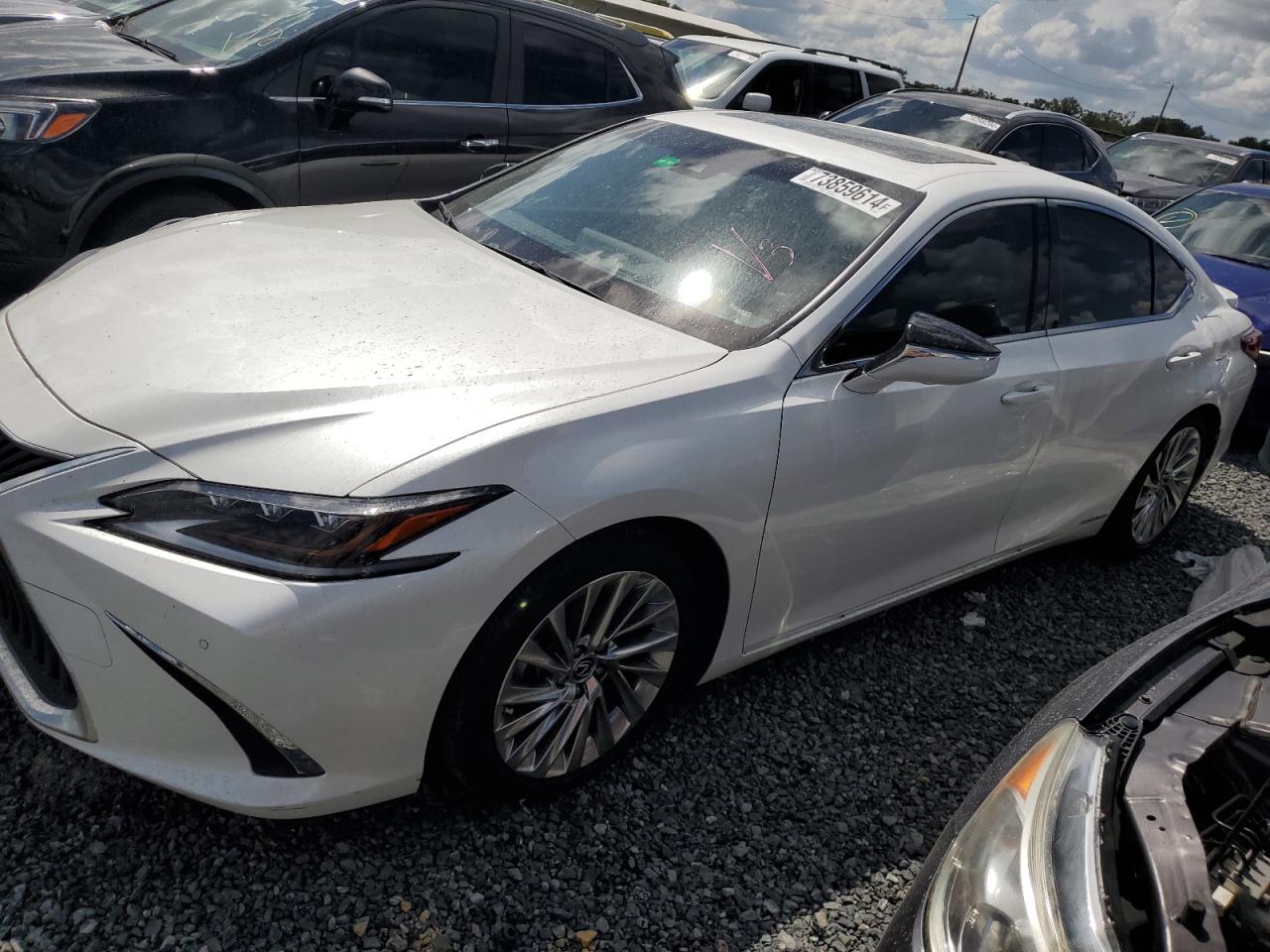 2019 Lexus ES VIN JTHB21B11K2043816