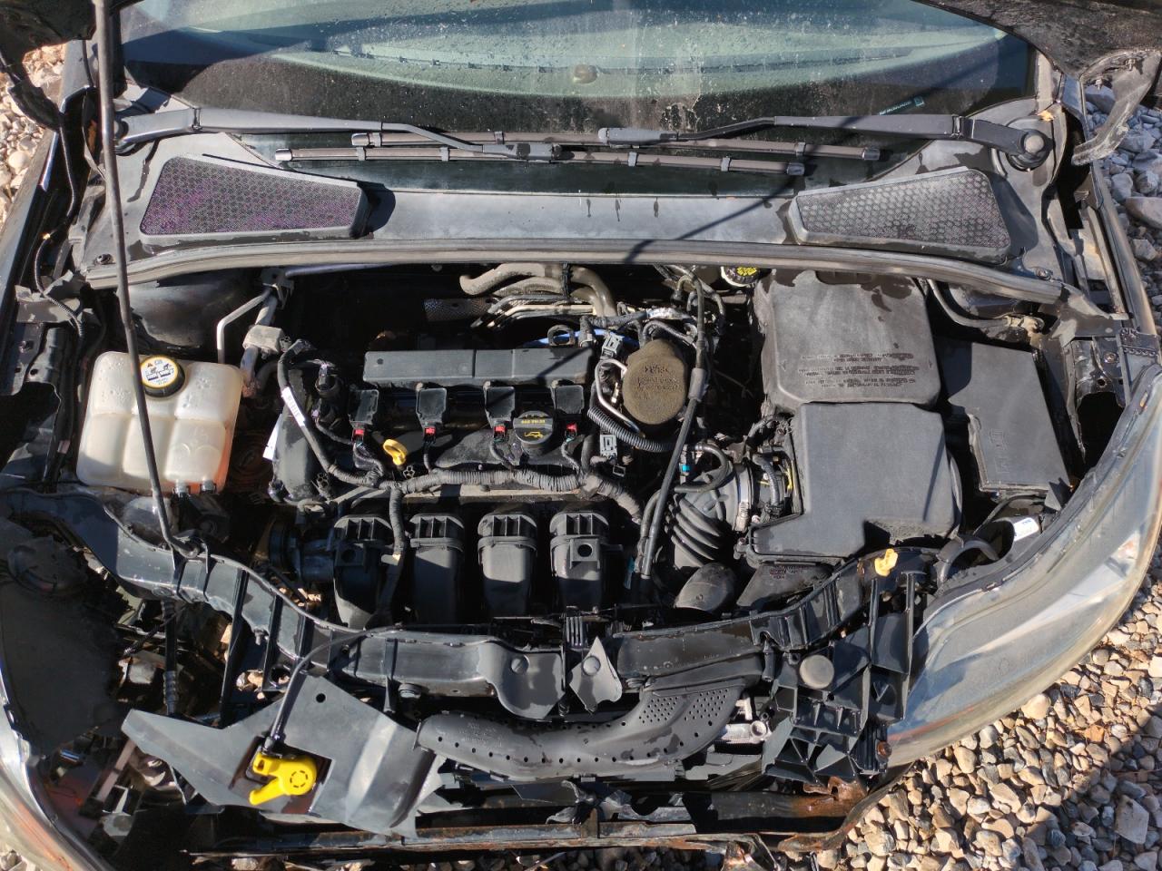 2013 Ford Focus VIN 1FADP3K29DL340996 Copart auction photo, front end damage thumbnail 11