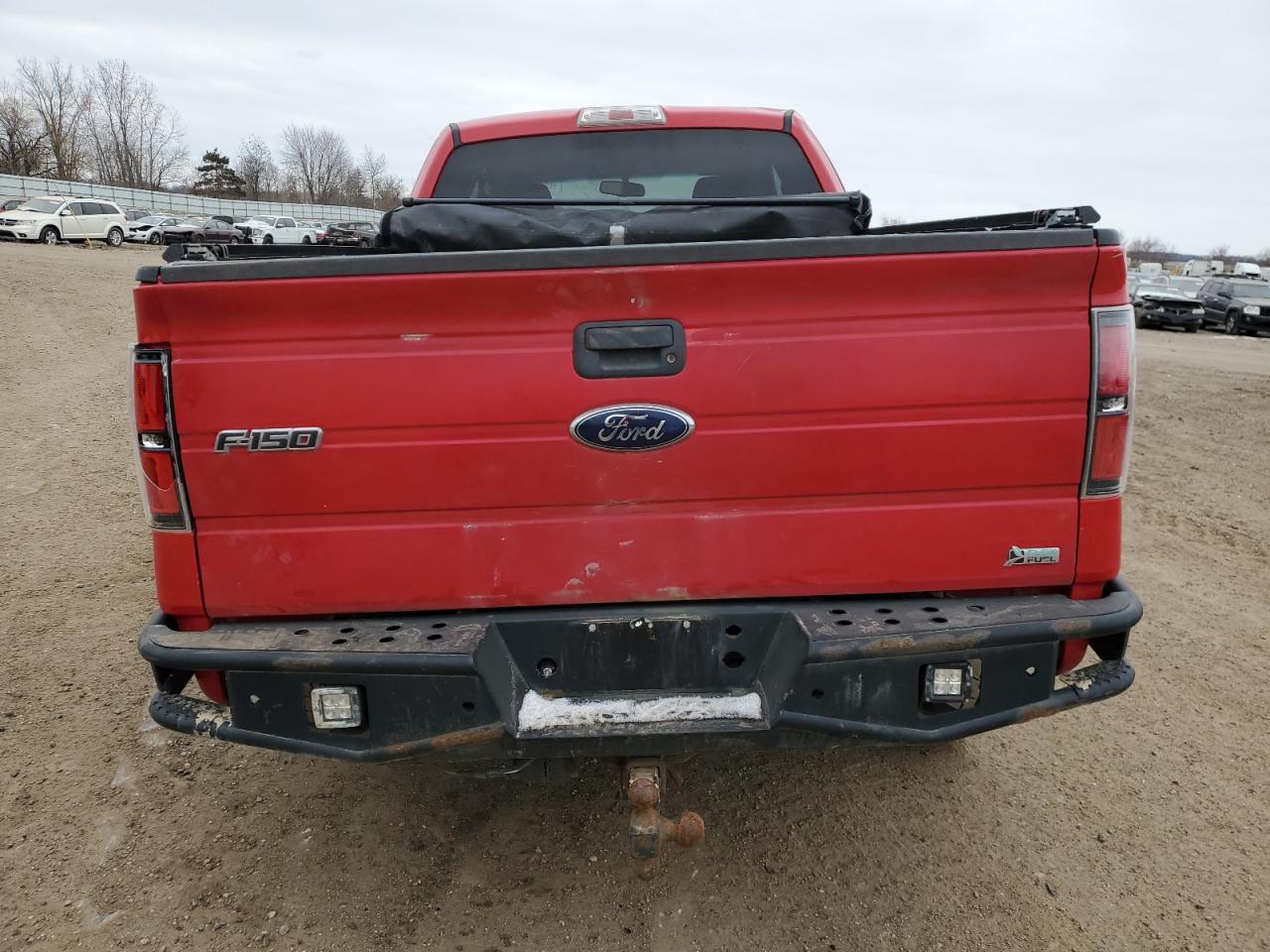 2010 Ford F-150 VIN 1FTFX1EVXAFD42103 Copart auction photo, rollover damage thumbnail 6