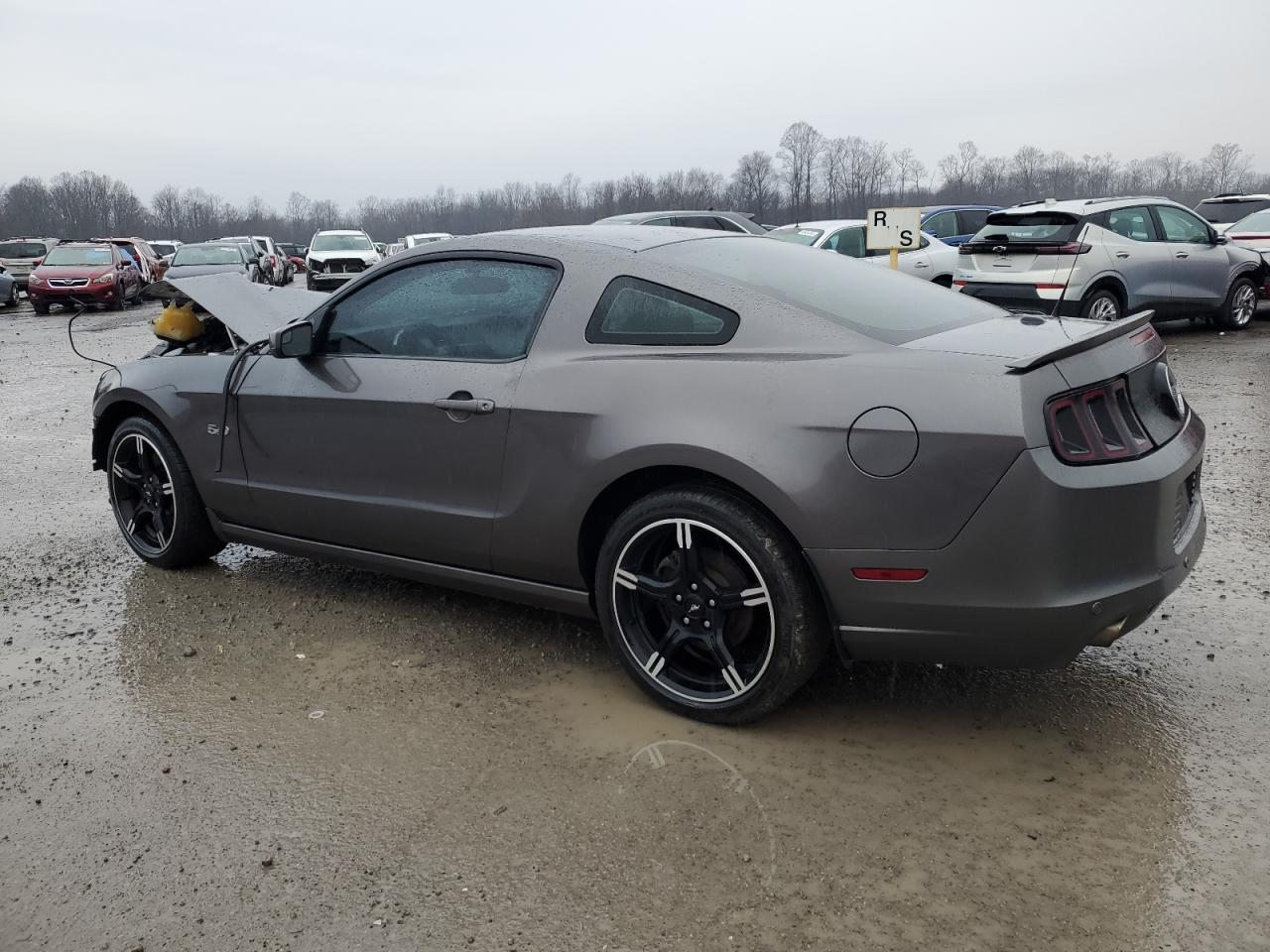 2013 Ford Mustang VIN 1ZVBP8CF5D5247118 Copart auction photo, front end damage thumbnail 2