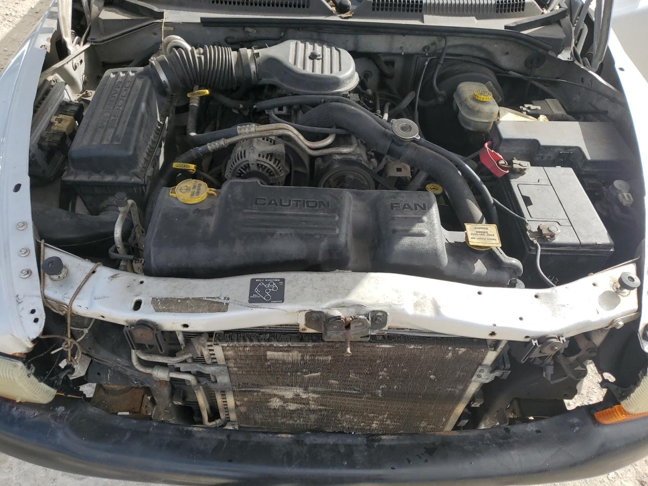 2003 Dodge Dakota VIN 1D7HL12X33S110095 Copart auction photo, all over damage thumbnail 12