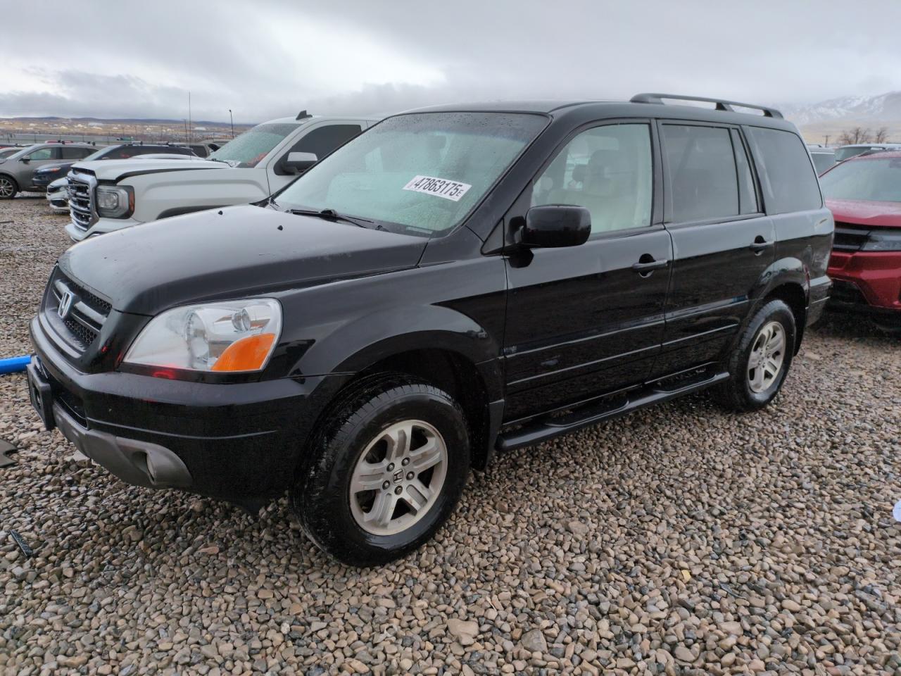 2004 Honda Pilot VIN 2HKYF18534H503909 - Copart auction photo