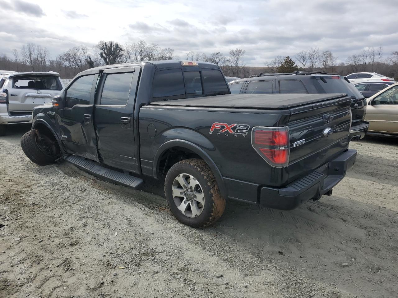 2014 Ford F-150 VIN 1FTFW1CT3EFB49303 Copart auction photo, side damage thumbnail 2