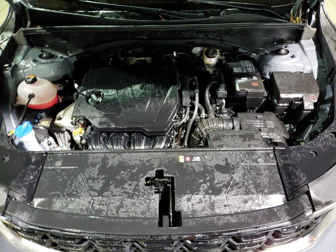 2024 KIA Sorento VIN 5XYRL4JC8RG276108 Copart auction photo, front end / side damage thumbnail 12