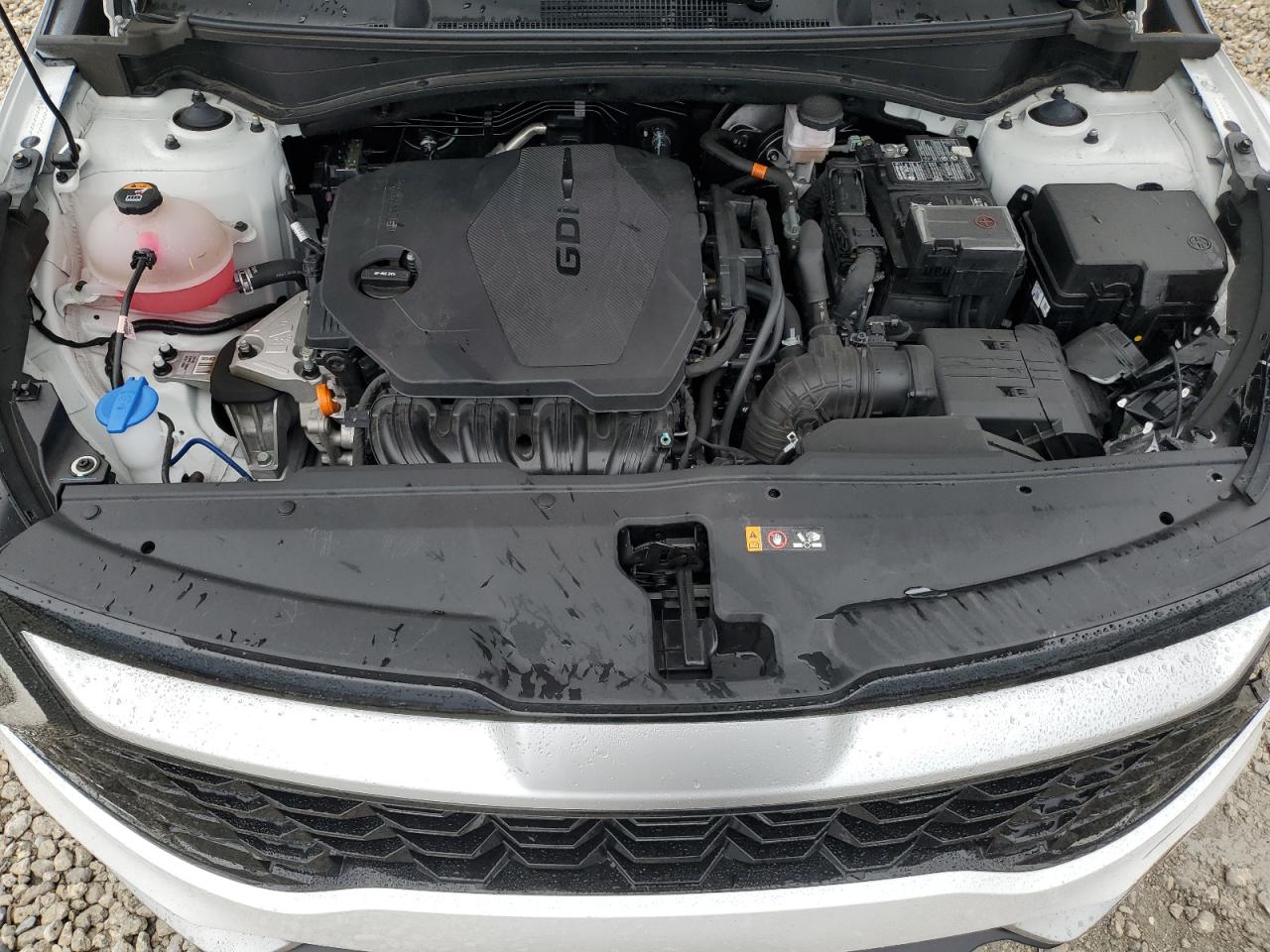 2024 KIA Sportage VIN 5XYK33DF7RG145415 Copart auction photo, front end damage thumbnail 11