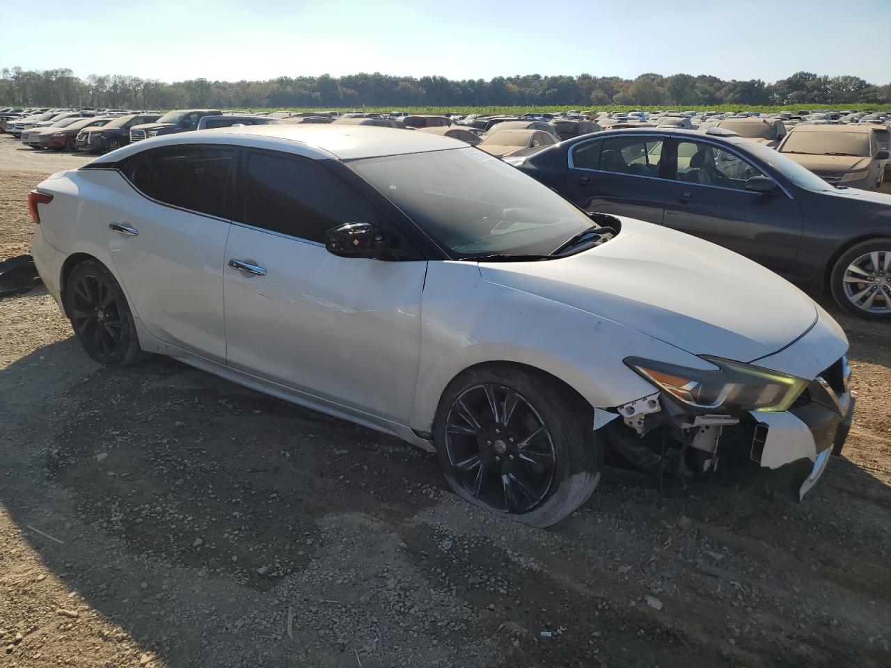 2016 Nissan Maxima VIN 1N4AA6AP5GC443565 Copart auction photo, front end / side damage thumbnail 4