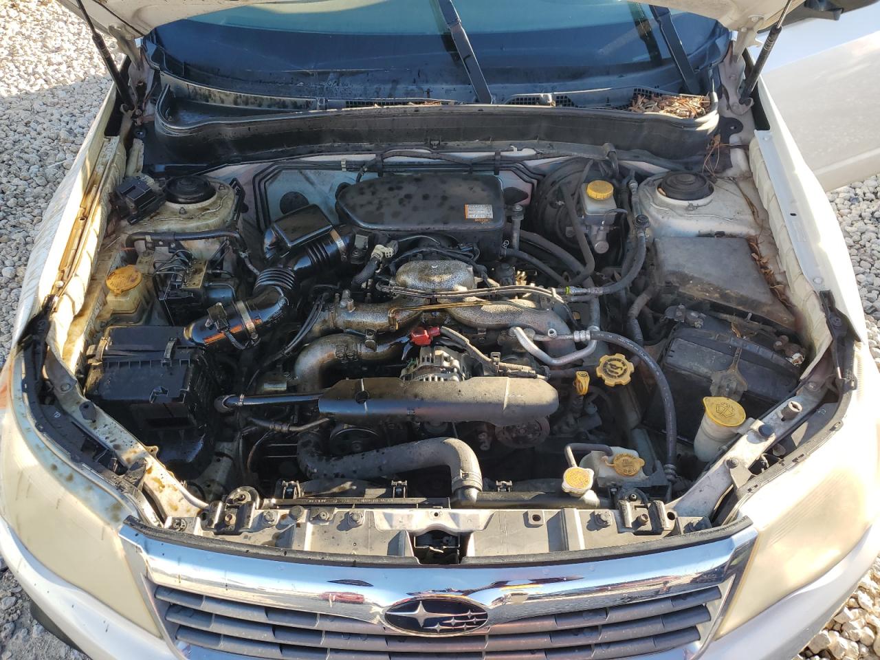 2010 Subaru Forester VIN JF2SH6BC4AH778043 Copart auction photo, rear end damage thumbnail 11