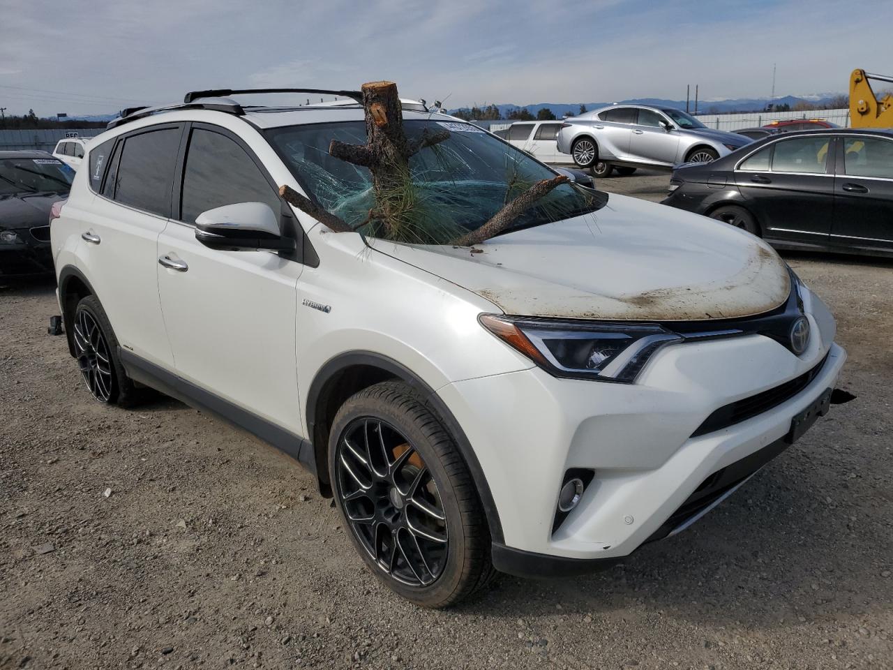 2018 Toyota RAV 4 VIN JTMDJREV0JD155083 Copart auction photo, top/roof / front end damage thumbnail 4