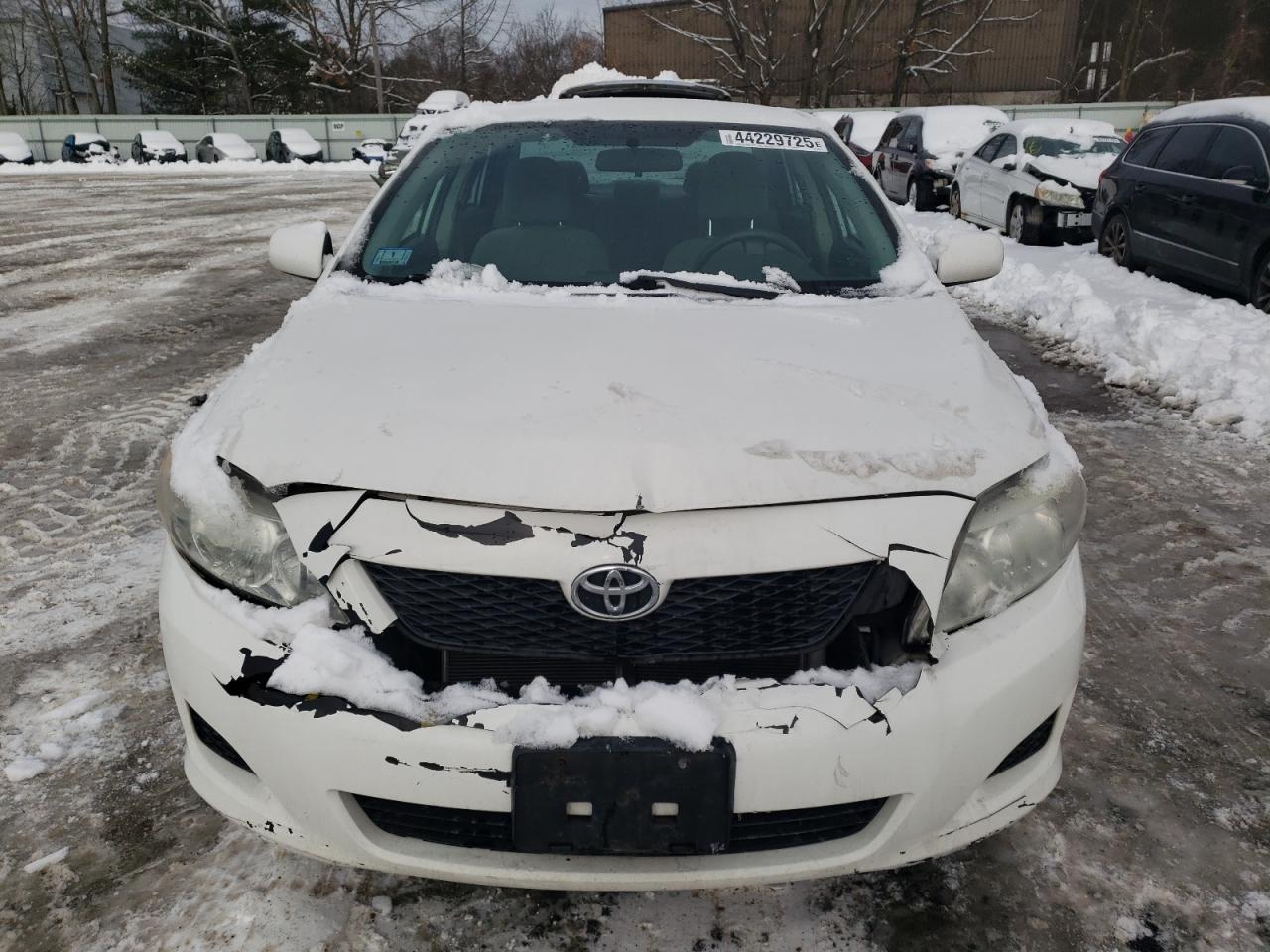 2010 Toyota Corolla VIN 2T1BU4EE5AC503913 Copart auction photo, front end damage thumbnail 5