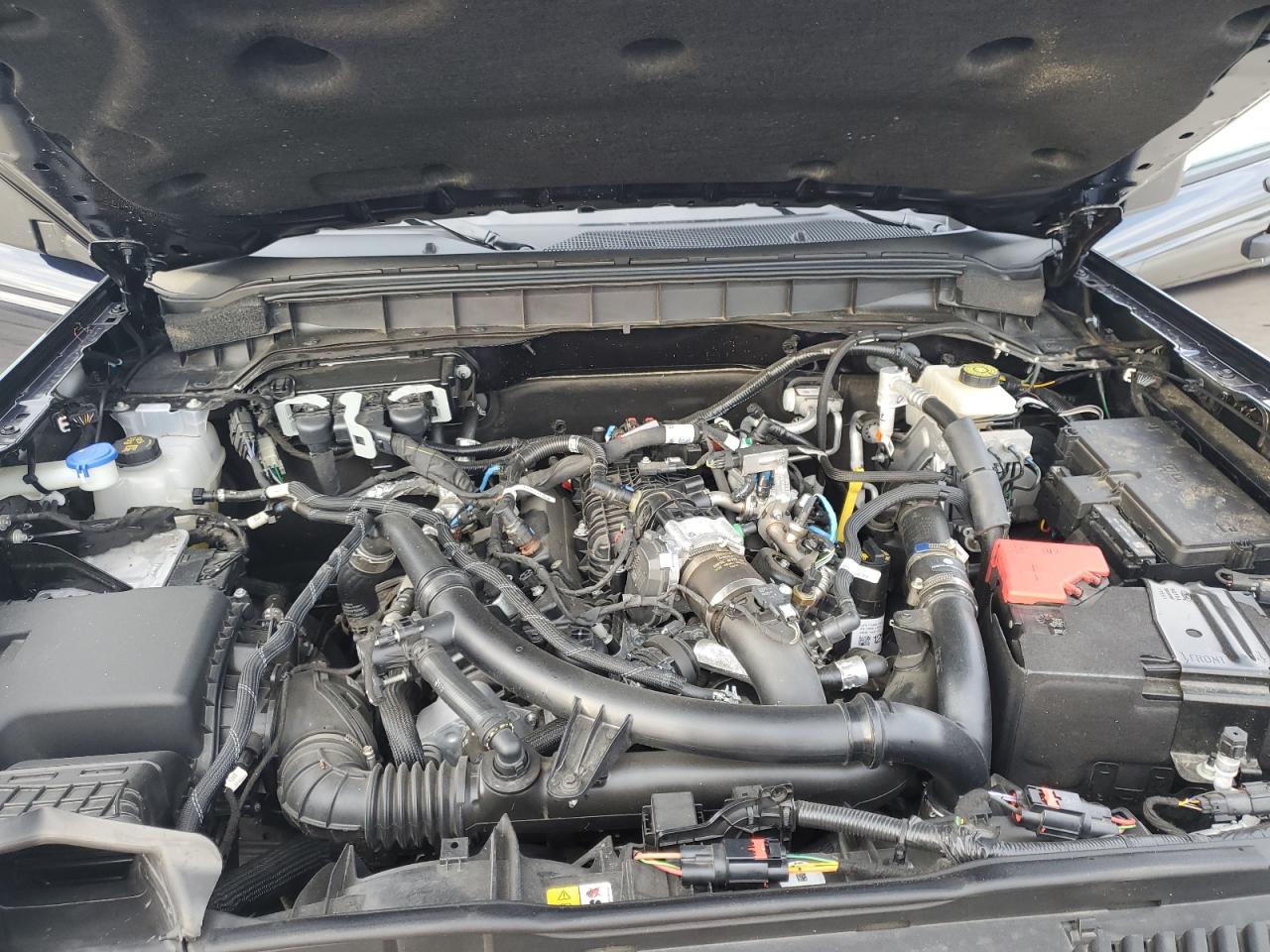 2021 Ford Bronco VIN 1FMEE5DP7MLA85818 Copart auction photo, rear end damage thumbnail 12
