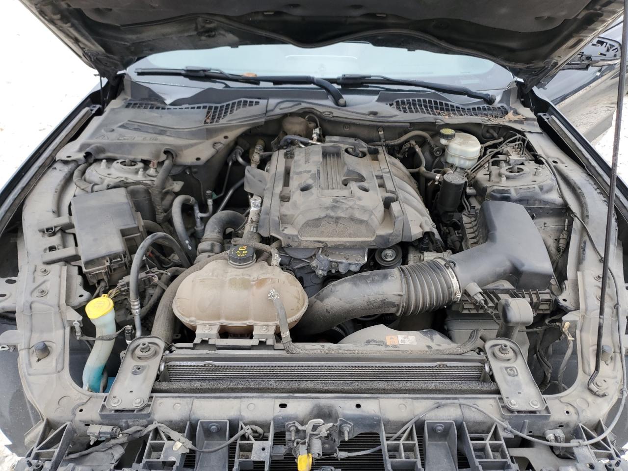 2015 Ford Mustang VIN 1FA6P8TH7F5353133 Copart auction photo, front end damage thumbnail 11