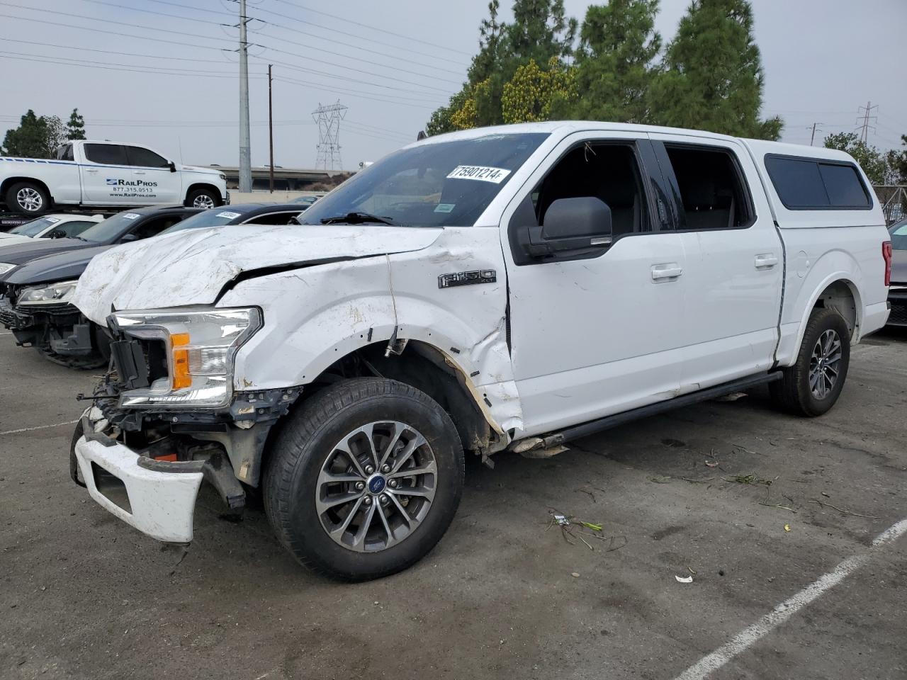 2019 Ford F-150 VIN 1FTEW1CP0KKC86796