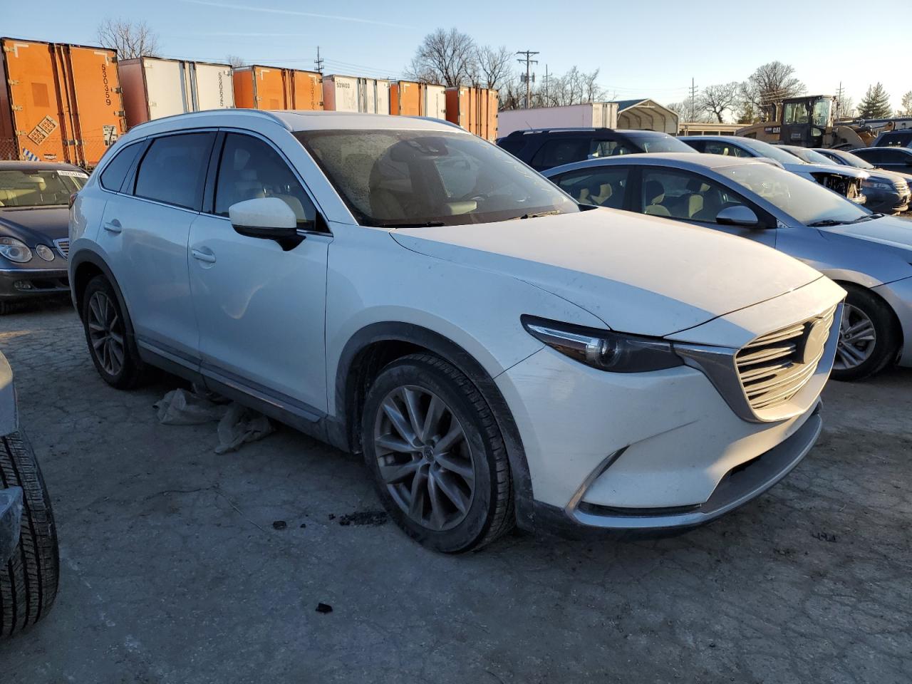 2016 Mazda CX-9 VIN JM3TCBDY2G0116253 Copart auction photo, hail damage thumbnail 4