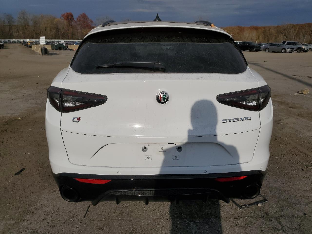 2024 Alfa Romeo Stelvio VIN ZASPAKBN5R7D72610 Copart auction photo, front end / minor dent/scratches damage thumbnail 6