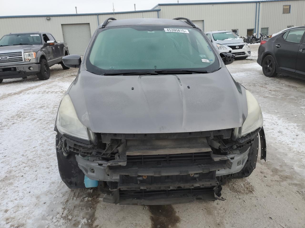2014 Ford Escape VIN 1FMCU0GX5EUB94928 Copart auction photo, front end / rear end damage thumbnail 5