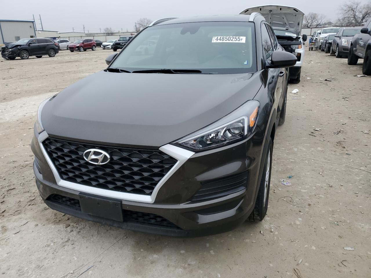 2019 Hyundai Tucson VIN KM8J33A45KU985739 Copart auction photo, side damage thumbnail 5