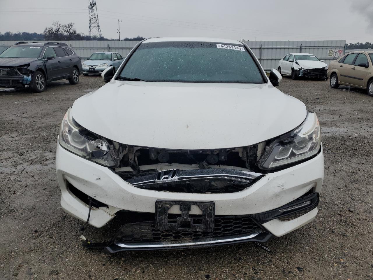2017 Honda Accord VIN 1HGCR2F58HA208944 Copart auction photo, front end / rear end damage thumbnail 5