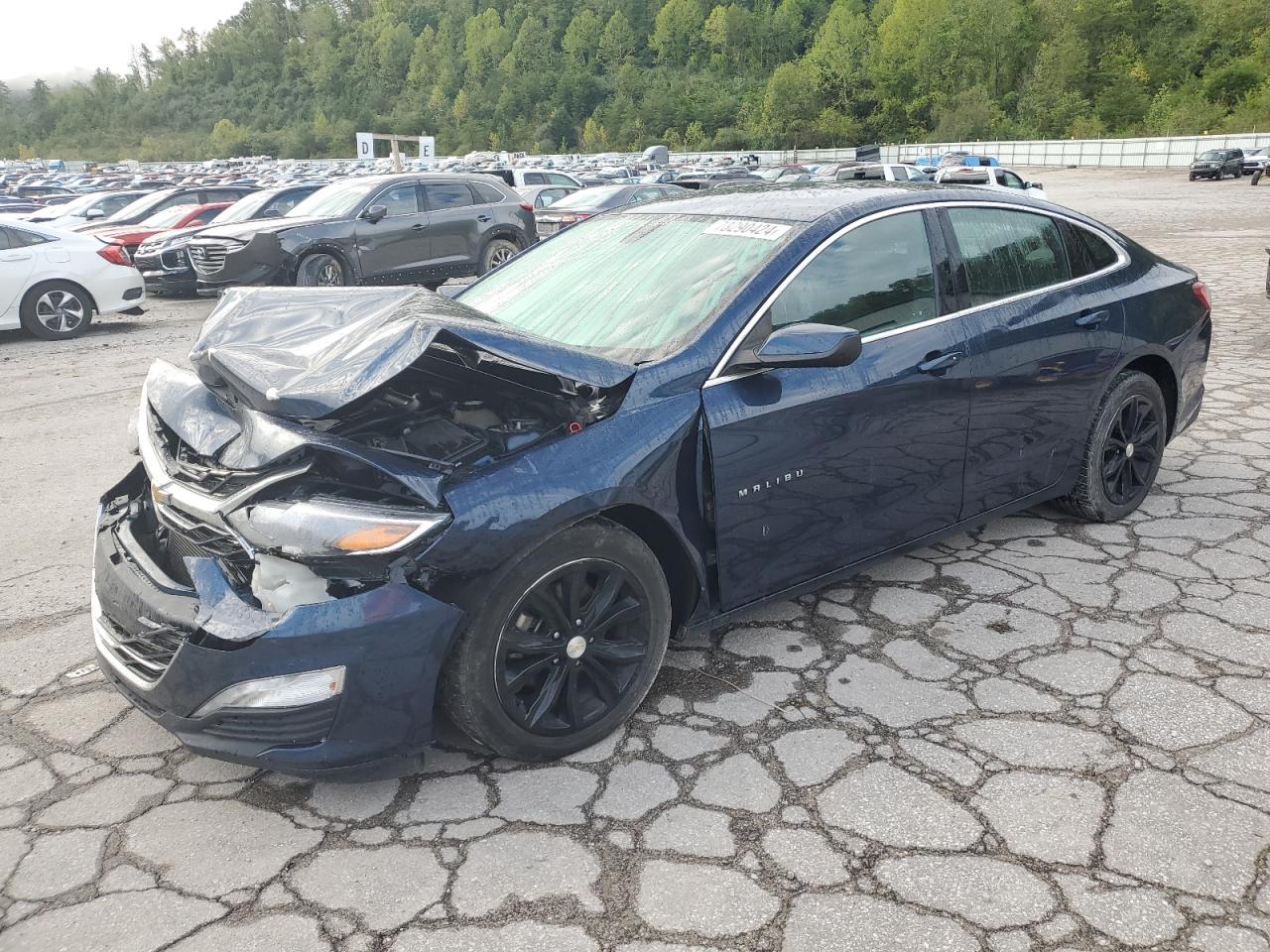 2019 Chevrolet Malibu VIN 1G1ZD5ST7KF207686
