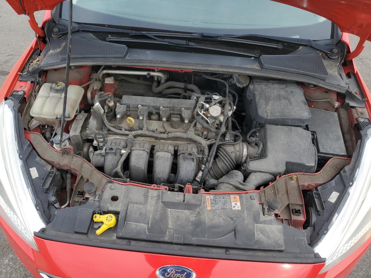 2016 Ford Focus VIN 1FADP3K23GL339072 Copart auction photo, normal wear damage thumbnail 11
