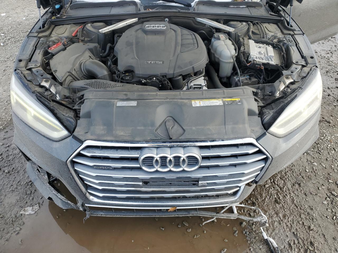2019 Audi A5 VIN WAUDNCF57KA048869 Copart auction photo, front end damage thumbnail 13
