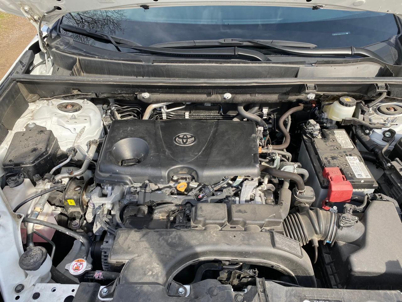 2021 Toyota RAV 4 VIN 2T3W1RFV8MC116371 Copart auction photo, damage history / minor dent/scratches damage thumbnail 7