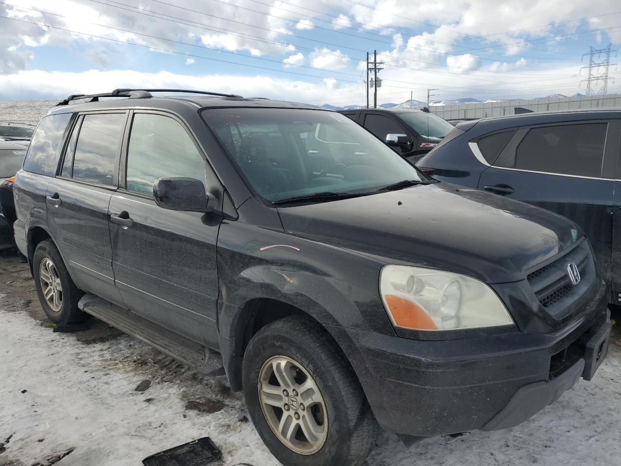 2004 Honda Pilot VIN 2HKYF18404H592765 Copart auction photo, rear end / hail damage thumbnail 4