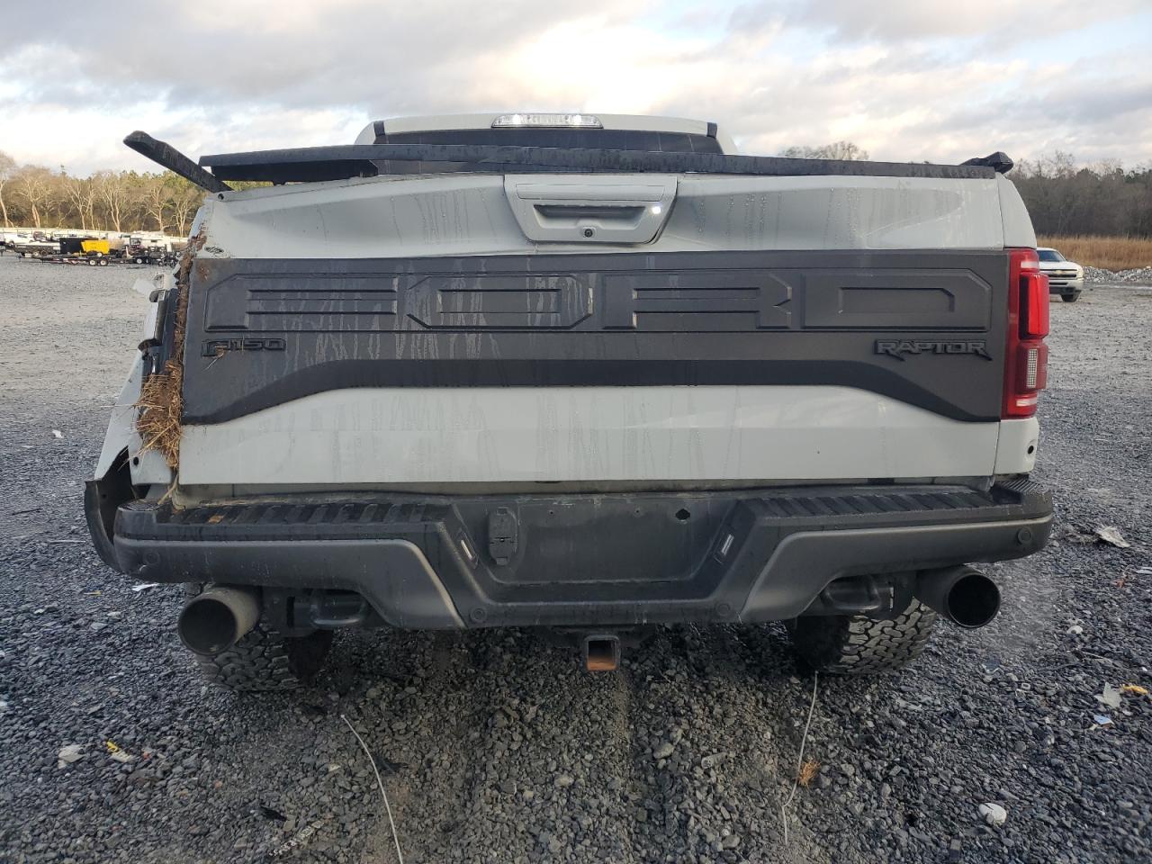 2017 Ford F-150 VIN 1FTFW1RG1HFA51188 Copart auction photo, all over damage thumbnail 6