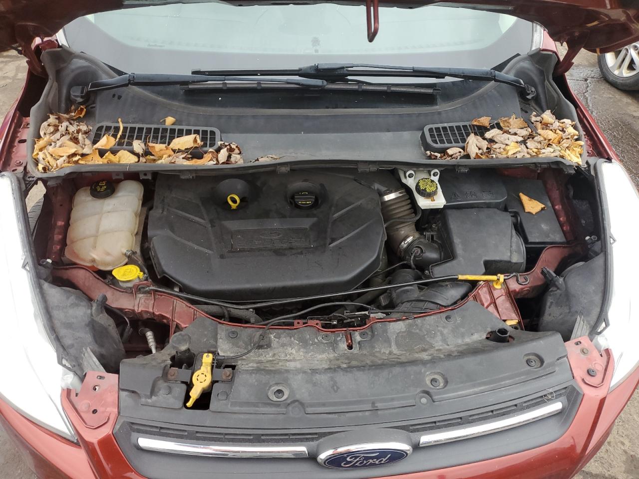 2016 Ford Escape VIN 1FMCU0G99GUB14437 Copart auction photo, side / front end damage thumbnail 12