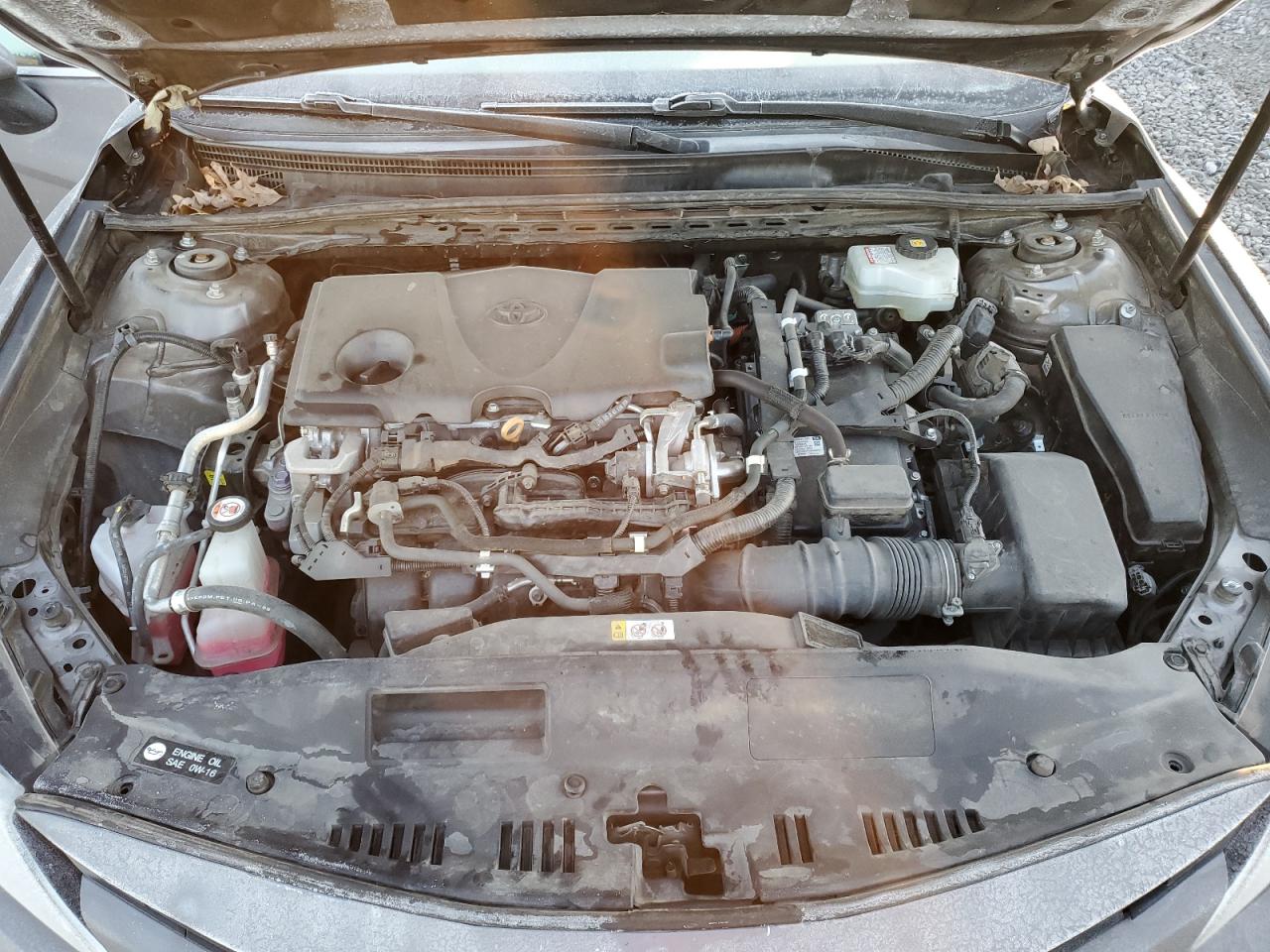 2019 Toyota Camry VIN 4T1B31HK0KU515339 Copart auction photo, rear end / front end damage thumbnail 11